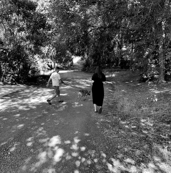 Source photograph for Turn West